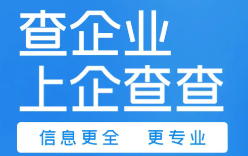国外华人用户使用企查查提示所在地区不支持访问？试试这些回国加速器