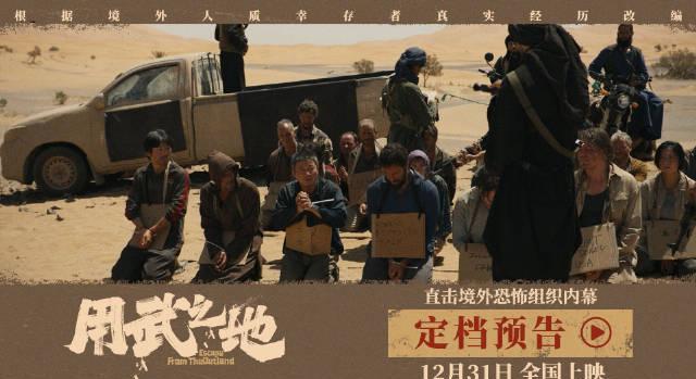 海外华人必看！三步教你解锁国内热门影视资源，申奥新片《用武之地》抢先看