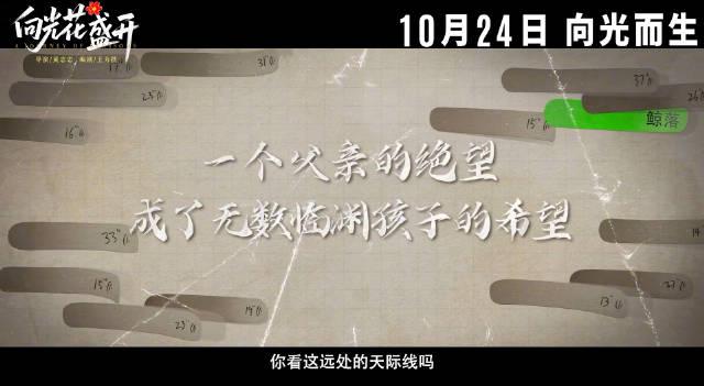 海外华人必看！三步解锁国内影视资源，向光花盛开等新片随心看