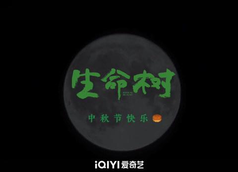 海外华人看爱奇艺总卡顿？地区限制和登录问题这样解决才靠谱