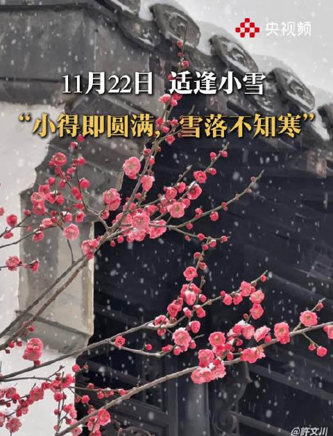 海外华人看不了国内影视？3招教你突破地域限制追剧无忧