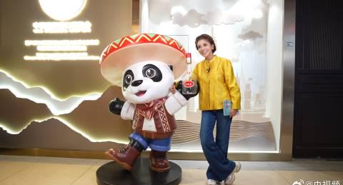 海外党追进博直播被卡哭?3招教你突破地域限制,和朱迅一起云逛展