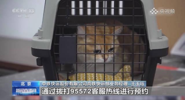 海外华人看不了国内视频？3招教你轻松解锁地区限制！