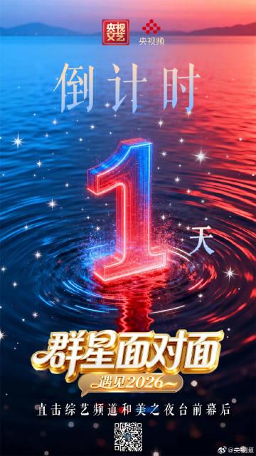 海外党别急！手把手教你解锁《群星面对面》等央视盛宴，告别“地区限制”的痛