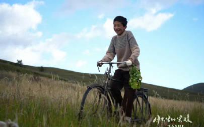 刷到藏族电影定档海报时,我正卡在海外追剧的转圈圈里——那片月光下的草原,让我想起被地区限制困住的夜晚