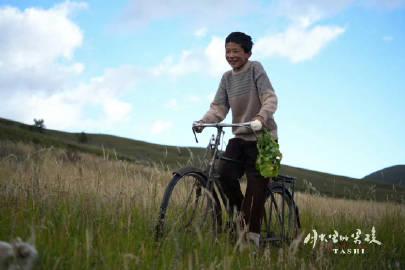 刷到藏族新片定档的消息,我翻出了压箱底的藏地旅行日记,那晚的月光真亮啊